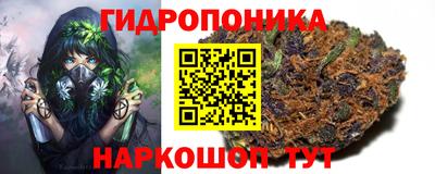 стафф Гусиноозёрск