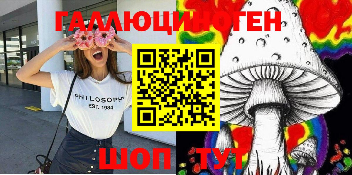 Псилоцибиновые грибы GOLDEN TEACHER Кисловодск
