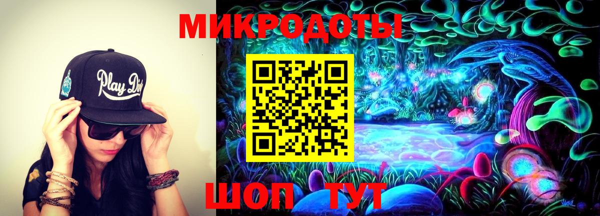 Кисловодск  Галлюциногенные грибы Psilocybe  Вход с VPN 